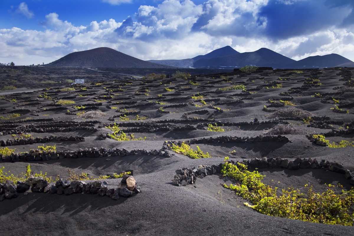 Viñas_Volcanicas