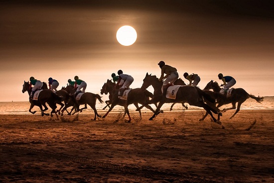 vinoble carreras de caballos sanlucar