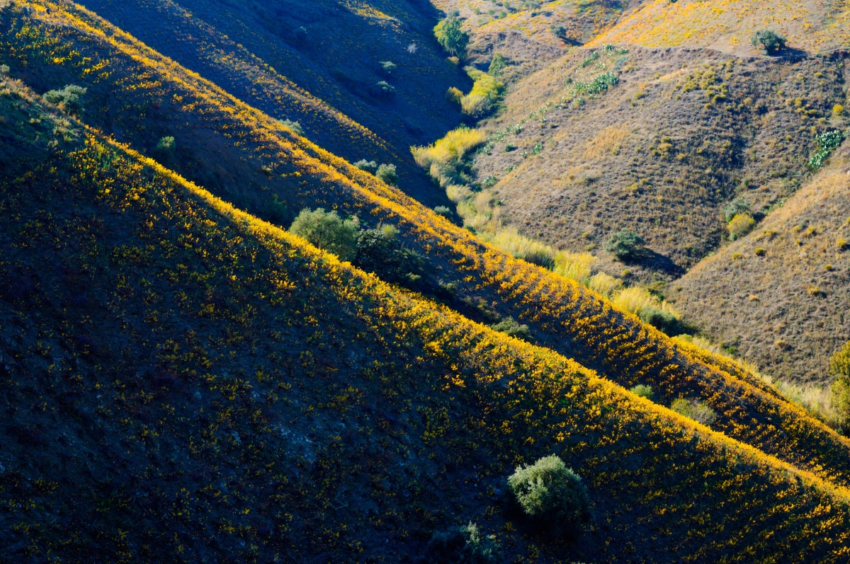 Vinoble_vinos_de_malaga