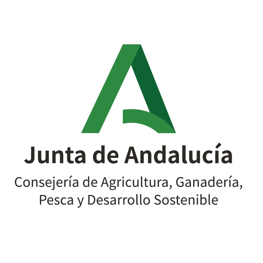 esqueleto Maestría Me preparé Consejería de Agricultura, Pesca y Desarrollo Rural. Junta de Andalucía | Vinoble esqueleto Maestría Me preparé Consejería de Agricultura, Pesca y Desarrollo Rural. Junta de Andalucía | Vinoble